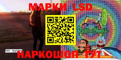 индика Рыбинск