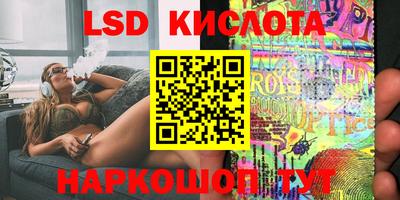 индика Рыбинск