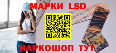 индика Рыбинск