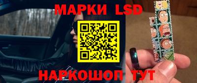 индика Рыбинск