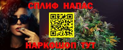 индика Рыбинск