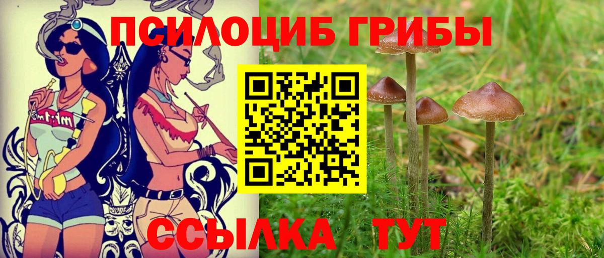 Галлюциногенные грибы ЛСД Северск