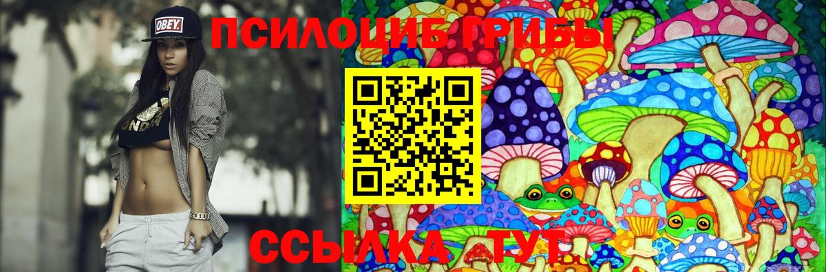 Галлюциногенные грибы GOLDEN TEACHER  Вход с VPN  Северск  Галлюциногенные грибы мухоморы 